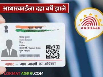 तुमचं आधारकार्ड दहा वर्ष जुनं आहे? आताच अपडेट करा, अन्यथा 'या' सुविधा बंद होतील!  - Marathi News | Latest News Aadhaar card ten years old Update it now Otherwise facility stops see details | Latest News at Lokmat.com