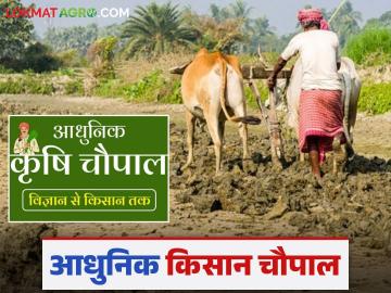 Adhunik Kisan Chaupal : विज्ञानांपासून ते शेतकऱ्यांपर्यंत, काय आहे आधुनिक किसान चौपाल कार्यक्रम, वाचा सविस्तर - Marathi News | Latest News Agriculture News what is the icar modern Kisan Chaupal program, read in detail | Latest News at Lokmat.com