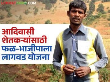 Agriculture News : आदिवासी शेतकऱ्यांना फळ-भाजीपाला लागवडीसाठी निधी मंजुरी, वाचा सविस्तर  - Marathi News | Latest News agriculture News Funds approved for fruit and vegetable scheme for tribal farmers, read in detail | Latest News at Lokmat.com