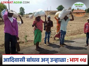 Agriculture News : आदिवासी बांधवाना आजही रोजगारासाठी स्थलांतर करावं लागतंय, कारण काय? - Marathi News | Latest news agriculture News nashik district Tribals community still have to migrate for employment | Latest News at Lokmat.com