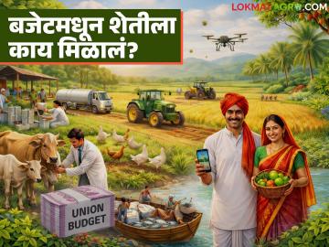 Budget 2026 : यंदाच्या बजेटमध्ये शेतकऱ्यांना काय मिळालं; कोणत्या योजनेला किती निधी? - Marathi News | Budget 2026 : What did farmers get in this year's budget; How much funding for which scheme? | Latest News at Lokmat.com