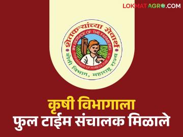 अखेर राज्याला फुल टाईम कृषी संचालक मिळाले; 'या' प्रभारी संचालकांना मिळाली पदोन्नती - Marathi News | Finally, the state got a full time agriculture director; 'this' in-charge director got promotion | Latest News at Lokmat.com अखेर राज्याला फुल टाईम कृषी संचालक मिळाले; 'या' प्रभारी संचालकांना मिळाली पदोन्नती - Marathi News | Finally, the state got a full time agriculture director; 'this' in-charge director got promotion | Latest News at Lokmat.com