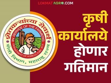 कृषीच्या ई-ऑफिस प्रणालीमुळे कामात येणार गतिमानता; शेतकऱ्यांची कामे होणार आता झटपट - Marathi News | The e-office system for agriculture department will bring speed to work; now farmers work will be done quickly | Latest News at Lokmat.com कृषीच्या ई-ऑफिस प्रणालीमुळे कामात येणार गतिमानता; शेतकऱ्यांची कामे होणार आता झटपट - Marathi News | The e-office system for agriculture department will bring speed to work; now farmers work will be done quickly | Latest News at Lokmat.com