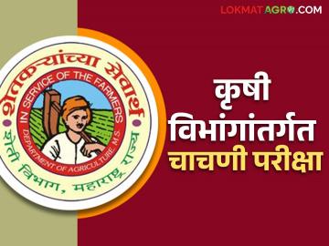 Krishi Vibhag Bharti : कृषी विभांगांतर्गत पदभरतीसाठी व्यावसायिक चाचणी परीक्षा - Marathi News | Krishi Vibhag Bharti : Professional test exam for recruitment under Krishi Vibhag | Latest News at Lokmat.com