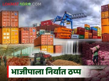अमेरिका-इराण युद्धामुळे भारतीय भाजीपाल्याची निर्यात ठप्प; तब्बल २००० कोटींची कृषी निर्यात संकटात - Marathi News | Indian vegetable exports halted due to US-Iran war; Agricultural exports worth Rs 2000 crore in crisis | Latest News at Lokmat.com