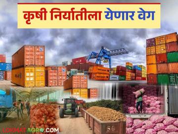 कृषी मालाची थेट जेएनपीटी बंदरातून आयात-निर्यात करण्यासाठी २७ एकरवर सुरु होतोय हा प्रकल्प - Marathi News | This project is being started on 27 acres to import and export agricultural goods directly from JNPT port. | Latest News at Lokmat.com