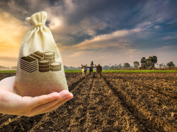 शेतीच्या उत्पन्नावर आयकर कधी, कसा लागतो? - Marathi News | When and how income tax is levied on agricultural income? | Latest agriculture News at Lokmat.com