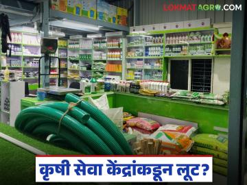 Agriculture News : कृषी सेवा केंद्रांकडून औषधांची अवाच्या सव्वा दराने विक्री, कृषी विभागाचे दुर्लक्ष - Marathi News | Agricultural service centers selling medicines at half price, neglect of the agriculture department | Latest News at Lokmat.com Agriculture News : कृषी सेवा केंद्रांकडून औषधांची अवाच्या सव्वा दराने विक्री, कृषी विभागाचे दुर्लक्ष - Marathi News | Agricultural service centers selling medicines at half price, neglect of the agriculture department | Latest News at Lokmat.com