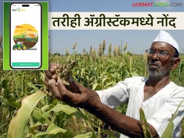 Farmer ID :  शेतजमिनीवर अनधिकृतपणे घरे खरेदी बांधली, पण आता.... नेमकं प्रकरण काय?  - Marathi News | Latest News Agri stack scheme Houses were illegally purchased and built on agricultural land now issue for farmer id | Latest News at Lokmat.com