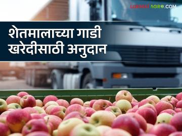 Agriculture News : शेतमाल वाहतुकीसाठी गाडी खरेदी करायचीय, इथं मिळतंय २ लाखांचं अनुदान  - Marathi News | Latest News Agriculture News buy vehicle for transporting agricultural foods nashik zp get subsidy of 2 lakh here  | Latest News at Lokmat.com
