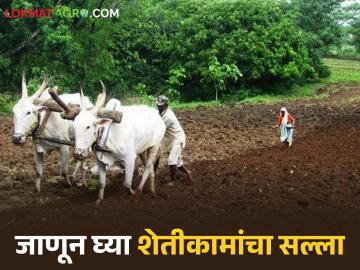 Krushi Salla : शेतकऱ्यांनो सावध! पेरणीपूर्व हवामान सल्ला वाचा सविस्तर - Marathi News | latest news Krushi Salla: Farmers beware! Read the pre-sowing weather advisory in detail | Latest News at Lokmat.com Krushi Salla : शेतकऱ्यांनो सावध! पेरणीपूर्व हवामान सल्ला वाचा सविस्तर - Marathi News | latest news Krushi Salla: Farmers beware! Read the pre-sowing weather advisory in detail | Latest News at Lokmat.com