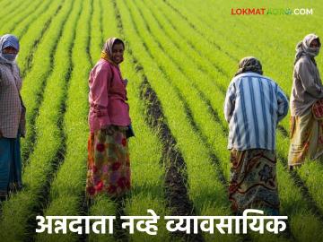Agriculture Sector : कृषिप्रधान नव्हे, ग्राहकप्रधान भारत! काय आहेत यामागील कारणं वाचा सविस्तर - Marathi News | Agriculture Sector: latest news India is not an agricultural-oriented country, but a consumer-oriented country! Read the reasons behind this in detail | Latest News at Lokmat.com