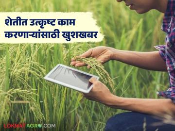 Agriculture Awards : शेतीत उत्कृष्ट काम करणाऱ्यांसाठी खुशखबर; कृषी विभाग देणार पुरस्कार वाचा सविस्तर - Marathi News | latest news Agriculture Awards: Good news for those who do excellent work in agriculture; Agriculture Department will give awards Read in detail | Latest News at Lokmat.com