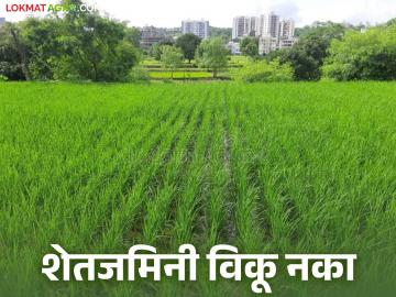 शेतकऱ्यांनो सोन्याचे मोल असणाऱ्या शेतजमिनी, मातीमोल किमतीने विकू नका - Marathi News | Farmers, do not sell your farmland, which is worth gold, at a pittance price | Latest News at Lokmat.com