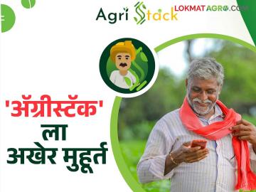 Farmer ID Agristack : ॲग्रीस्टॅक योजनेला सुरवात; राज्यातील ६ लाख शेतकऱ्यांना मिळाले फार्मर आयडी - Marathi News | Farmer ID Agristack : Agristack scheme launched; 6 lakh farmers in the state got Farmer ID | Latest News at Lokmat.com