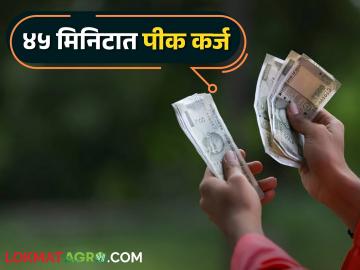 राज्यात आला हा नवीन प्रकल्प केवळ ४५ मिनिटात मिळणार शेतकऱ्यांना पीक कर्ज - Marathi News | This new project in the state will get crop loan to the farmers in just 45 minutes | Latest News at Lokmat.com