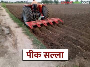 Krushi Salla : मराठवाड्यातील शेतकऱ्यांसाठी अत्यंत महत्त्वाचा हवामान व पीक सल्ला! वाचा सविस्तर - Marathi News | latest news Krushi Salla: Very important weather and crop advisory for farmers in Marathwada! Read in detail | Latest News at Lokmat.com