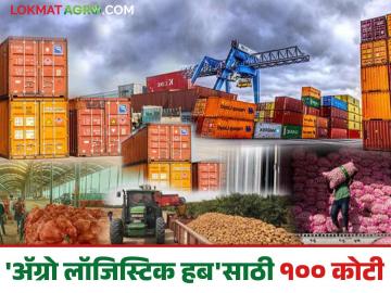 शेतमालाची निर्यात वाढणार; राज्यात चार ठिकाणी होणार ॲग्रो लॉजिस्टिक हब - Marathi News | Exports of agricultural products will increase; Agro-logistics hubs will be set up at four places in the state | Latest News at Lokmat.com शेतमालाची निर्यात वाढणार; राज्यात चार ठिकाणी होणार ॲग्रो लॉजिस्टिक हब - Marathi News | Exports of agricultural products will increase; Agro-logistics hubs will be set up at four places in the state | Latest News at Lokmat.com
