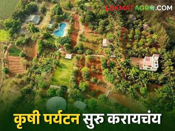 Agro Tourism कृषि पर्यटन केंद्र व्यवसाय सुरु करण्यासाठी शासनाकडून कसा मिळतो लाभ? - Marathi News | If you want to start an agricultural tourism center, where and how to register? | Latest agriculture News at Lokmat.com