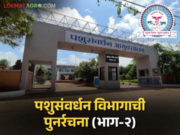 Pashusavardhan Vibhag Maharashtra : पशुसंवर्धन विभागाची पुनर्रचना क्रांतिकारक ठरण्यासाठी काय करावं लागेल? वाचा सविस्तर - Marathi News | Pashusavardhan Vibhag Maharashtra : What needs to be done to make the restructuring of the Animal Husbandry and Dairying Department revolutionary? | Latest News at Lokmat.com