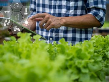 ‘‘एआय’मुळे शेती उद्योगात नवचैतन्य व रोजगाराच्या संधी’ - Marathi News | AI will bring innovation and employment opportunities to agriculture industry says prof kirankumar johare | Latest News at Lokmat.com ‘‘एआय’मुळे शेती उद्योगात नवचैतन्य व रोजगाराच्या संधी’ - Marathi News | AI will bring innovation and employment opportunities to agriculture industry says prof kirankumar johare | Latest News at Lokmat.com