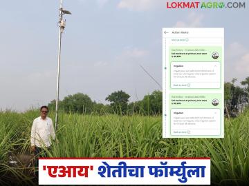 AI Sugarcane Farming : 'एआय' सांगते किती पाणी, किती वेळ; शेतकऱ्याला थेट मेलवर मिळतो शेती सल्ला - Marathi News | latest news AI Sugarcane Farming: 'AI' tells how much water, how much time; Farmers get farming advice directly via email | Latest News at Lokmat.com
