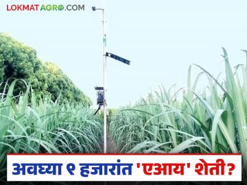 AI Sugarcane Farming : ९ हजार भरा अन् ऊस उत्पादन वाढवा; 'एआय' शेतीचा फॉर्म्युला काय? वाचा सविस्तर - Marathi News | latest news AI Sugarcane Farming: Pay 9 thousand and increase sugarcane production; What is the formula of 'AI' farming? Read in detail | Latest News at Lokmat.com