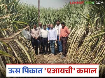 काय सांगताय! अवघ्या २९ मिनिटात भिजतेय १ एकर ऊस शेती; काय आहे तंत्रज्ञान? वाचा सविस्तर - Marathi News | What are you saying! 1 acre of sugarcane field is irrigated in just 29 minutes; what is the technique? Read in detail | Latest News at Lokmat.com