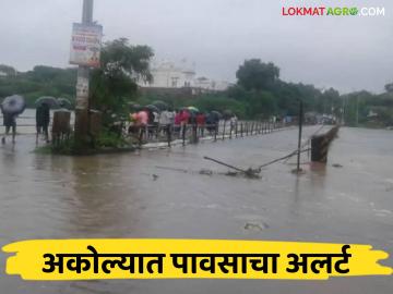 Market Yard : 'पावसाची शक्यता; शेतकऱ्यांनो ! 'शेतमालाची काळजी घ्या' - Marathi News | Market Yard : 'Chance of rain; Farmers! 'Take care of the farm products' | Latest News at Lokmat.com