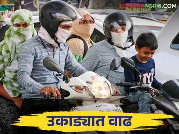 Akola Weather Today : पाऊस थांबल्यानंतर वातावरणात बदल; उकाड्याने अकोलेकर झाले हैराण - Marathi News | Akola Weather Today : Weather changes after rains stop; Akolekar was taired by the heat | Latest News at Lokmat.com