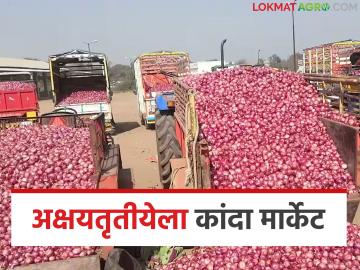 Kanda Market : अक्षयतृतीयेला कांद्याची आवक किती झाली, नाशिक, पुणे मार्केटमध्ये काय दर मिळाले? - Marathi News | Latest News How much onion was received on Akshaya Tritiya see prices in Nashik and Pune markets? | Latest News at Lokmat.com Kanda Market : अक्षयतृतीयेला कांद्याची आवक किती झाली, नाशिक, पुणे मार्केटमध्ये काय दर मिळाले? - Marathi News | Latest News How much onion was received on Akshaya Tritiya see prices in Nashik and Pune markets? | Latest News at Lokmat.com
