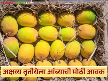 अक्षय्य तृतीयेच्या मुहूर्तावर ८३ हजार आंबा पेट्यांची आवक; वाचा हापूसबरोबरच इतर आंब्यांना काय मिळतोय दर? - Marathi News | Arrival of 83 thousand boxes of mangoes on the occasion of Akshaya Tritiya; Read what price is being paid for other mangoes besides Hapus? | Latest News at Lokmat.com