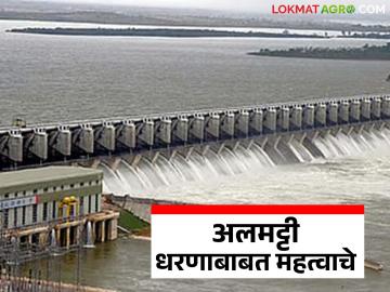 अलमट्टी धरणाची उंची वाढवू नये, मुख्यमंत्री देवेंद्र फडणवीस यांचे जलशक्ती मंत्र्यांना पत्र - Marathi News | Latest news CM Devendra Fadnavis tells Jal Shakti Minister not to increase the height of Almatti Dam | Latest News at Lokmat.com अलमट्टी धरणाची उंची वाढवू नये, मुख्यमंत्री देवेंद्र फडणवीस यांचे जलशक्ती मंत्र्यांना पत्र - Marathi News | Latest news CM Devendra Fadnavis tells Jal Shakti Minister not to increase the height of Almatti Dam | Latest News at Lokmat.com