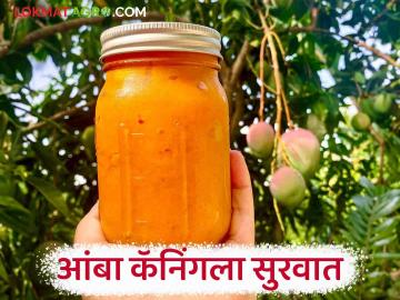 उष्णतेमुळे आंबा तयार होण्याची गती वाढली; कोकणात आंबा कॅनिंगला सुरवात - Marathi News | Heat has accelerated mango ripening; Mango canning starts in Konkan | Latest News at Lokmat.com