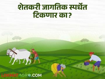 अमेरिकेच्या कॉर्पोरेट शेतीपुढे भारतीय शेतकरी तग धरणार का? आपल्या शेती क्षेत्रावर कसा होईल परिणाम? - Marathi News | Will Indian farmers stand up to American corporate farming? How will it affect our agriculture sector? | Latest News at Lokmat.com