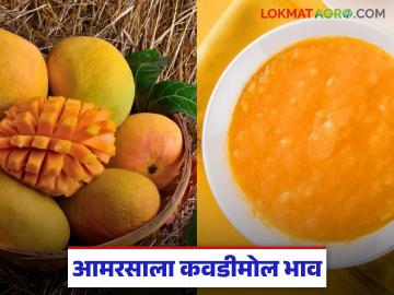 कॅनिंग कंपन्यांकडून आंबा बागायतदारांची पद्धतशीर पिळवणूक; दरात झाली मोठी घसरण - Marathi News | Systematic exploitation of mango growers by canning companies; prices have fallen sharply | Latest News at Lokmat.com