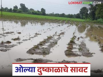 Kharif Crop Damage : दिवाळीपूर्वी मदत मिळेल का? पंचनाम्यासाठी शेतकऱ्यांची धडपड वाचा सविस्तर - Marathi News | latest news Kharif Crop Damage: Will we get help before Diwali? Farmers struggle for Panchnama read in details | Latest News at Lokmat.com Kharif Crop Damage : दिवाळीपूर्वी मदत मिळेल का? पंचनाम्यासाठी शेतकऱ्यांची धडपड वाचा सविस्तर - Marathi News | latest news Kharif Crop Damage: Will we get help before Diwali? Farmers struggle for Panchnama read in details | Latest News at Lokmat.com