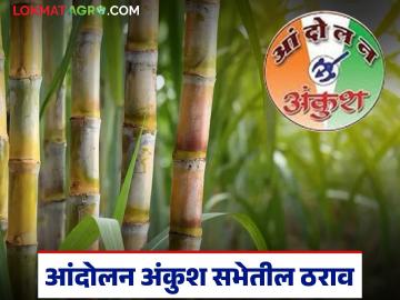 आंदोलन अंकुशची एल्गार सभा झाली; चार हजाराच्या पहिल्या उचलीबरोबर अजून कोणते ठराव? वाचा सविस्तर - Marathi News | Elgar sabha over by anodalan ankush; What other resolutions along with the frp intsallment of four thousand? Read in detail | Latest News at Lokmat.com