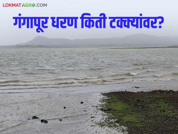 Gangapur Dam : नाशिकचे गंगापूर धरण किती टक्क्यांवर? जिल्ह्यात किती पाणीसाठा शिल्लक? - Marathi News | Latest News How much water is left in Gangapur Dam of Nashik see details nashik district dam storage | Latest News at Lokmat.com Gangapur Dam : नाशिकचे गंगापूर धरण किती टक्क्यांवर? जिल्ह्यात किती पाणीसाठा शिल्लक? - Marathi News | Latest News How much water is left in Gangapur Dam of Nashik see details nashik district dam storage | Latest News at Lokmat.com