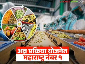 राज्यात ६ हजारांपेक्षा जास्त अन्न प्रक्रिया प्रकल्पांना कृषी विभागाकडून मंजुरी; ऑनलाइन अर्ज प्रक्रिया सुरु - Marathi News | Agriculture Department approves more than 6,000 food processing projects in the state; Online application process begins | Latest agri-business News at Lokmat.com