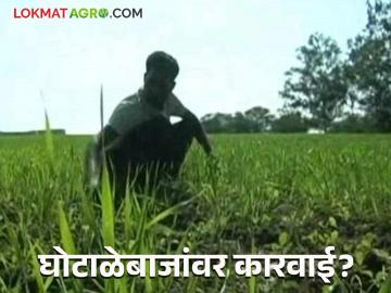 Anudan Vatap Ghotala : शेतकरी अनुदान घोटाळा: आता वरिष्ठ अधिकाऱ्यांवरही कारवाई! वाचा सविस्तर - Marathi News | latest news Anudan Vatap Ghotala: Farmer subsidy scam: Now action will be taken against senior officials too! Read in detail | Latest News at Lokmat.com Anudan Vatap Ghotala : शेतकरी अनुदान घोटाळा: आता वरिष्ठ अधिकाऱ्यांवरही कारवाई! वाचा सविस्तर - Marathi News | latest news Anudan Vatap Ghotala: Farmer subsidy scam: Now action will be taken against senior officials too! Read in detail | Latest News at Lokmat.com