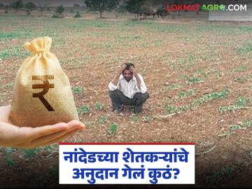 PM Kisan Scheme : तलाठ्याची एक चूक अन् शेतकऱ्यांचे 'पीएम किसान' अनुदान चंद्रपूरला वाचा सविस्तर - Marathi News | latest news PM Kisan Scheme: A mistake by Talathya and 'PM Kisan' subsidy of farmers to Chandrapur Read in detail | Latest News at Lokmat.com