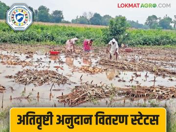 Ativrusthi Anudan : दोन मिनिटांत मोबाईलवर तपासा अतिवृष्टी अनुदान स्टेटस, वाचा सविस्तर   - Marathi News | Latest News Ativrusthi anudan Check crop damage grant status on mobile in two minutes, read in detail | Latest News at Lokmat.com