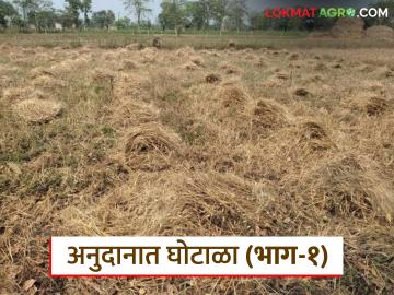 Anudan Vatap Ghotala: नैसर्गिक आपत्ती अनुदानाचा अपहार: दोषींवर कारवाई होणार तरी कधी? वाचा सविस्तर - Marathi News | latest news Anudan Vatap Ghotala: Misappropriation of natural disaster grant: When will action be taken against the culprits? Read in detail | Latest News at Lokmat.com Anudan Vatap Ghotala: नैसर्गिक आपत्ती अनुदानाचा अपहार: दोषींवर कारवाई होणार तरी कधी? वाचा सविस्तर - Marathi News | latest news Anudan Vatap Ghotala: Misappropriation of natural disaster grant: When will action be taken against the culprits? Read in detail | Latest News at Lokmat.com