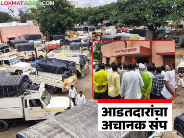 आडतदारांचा अचानक संप; लिलावाची वाट पाहत बसलेल्या शेतकऱ्यांना धान्य घेऊन घरी परतावे लागले आडतदारांचा अचानक संप; लिलावाची वाट पाहत बसलेल्या शेतकऱ्यांना धान्य घेऊन घरी परतावे लागले