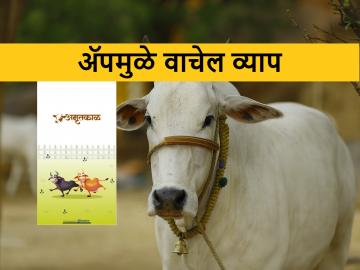 पशुपालनाचे हे ॲप डाऊनलोड केलं तर दुधाचं उत्पादन वाढणार - Marathi News | Pune agriculture college developed an app for livestock and dairy farmers | Latest News at Lokmat.com