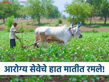 Doctor Farming : आरोग्य सेवेचे हात मातीत रमले, चंद्रपूरच्या डॉक्टरांची सेंद्रिय भाजीपाला शेतीसह फळशेती  - Marathi News | Latest News Chandrapur doctor's organic vegetable farming along with fruit farming | Latest News at Lokmat.com