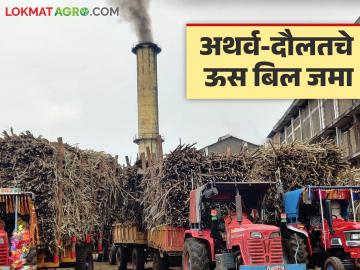 अथर्व-दौलत कारखान्याने यंदाच्या ऊस गाळपाचे १०० टक्के पेमेंट केले; अंतिम काय दिला दर? - Marathi News | Atharva-Daulat factory paid 100 percent bill of this year's sugarcane crushing; what was the final price paid? | Latest News at Lokmat.com