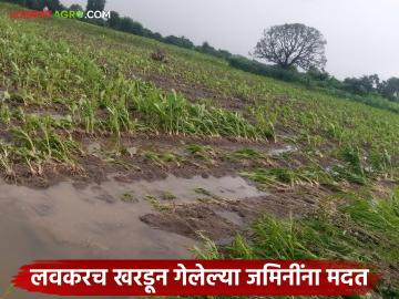 अतिवृष्टी, महापूर नुकसानीचे १५७९ कोटी मंजूर; खरडून गेलेल्या जमिनीची मदत लवकरच खात्यावर - Marathi News | Rs 1579 crore approved for heavy rain, flood damage; Relief for eroded land to be credited soon | Latest News at Lokmat.com