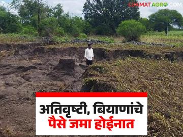 ऑगस्ट महिन्यातील अतिवृष्टी नुकसानभरपाईला मंजुरी पण शेतकऱ्यांच्या खात्यावर काहीच नाही - Marathi News | August heavy rain compensation approved but nothing in farmers bank accounts | Latest News at Lokmat.com